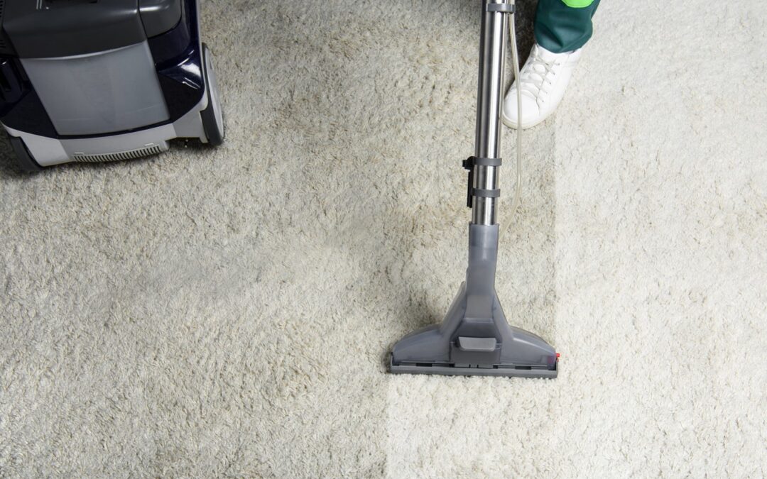 Extend Carpet Life with Professional Cleaning